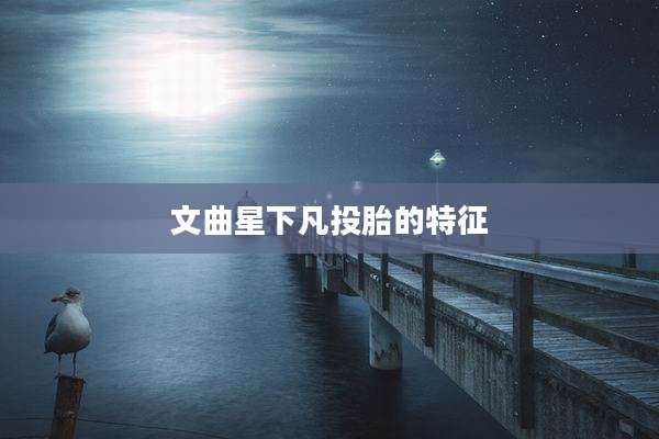 文曲星下凡投胎的特征