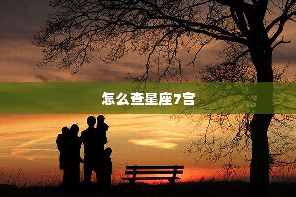 怎么查星座7宫