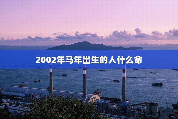 2002年马年出生的人什么命