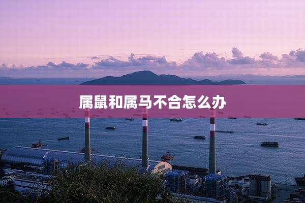 属鼠和属马不合怎么办