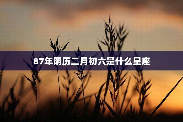 87年阴历二月初六是什么星座