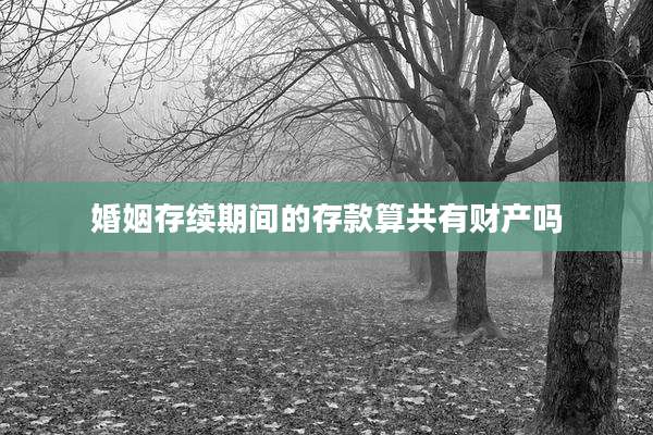 婚姻存续期间的存款算共有财产吗