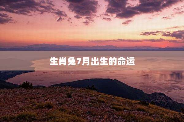 生肖兔7月出生的命运