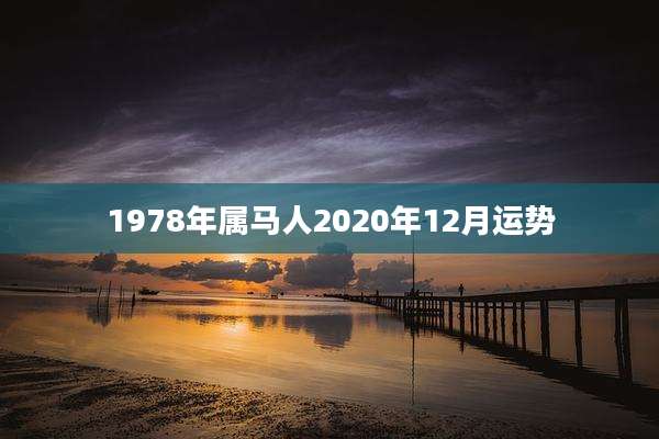 1978年属马人2020年12月运势