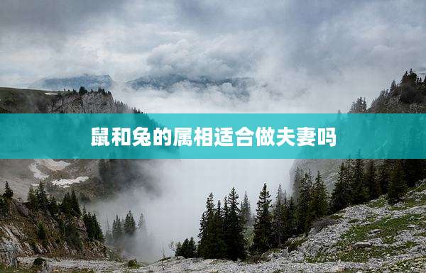 鼠和兔的属相适合做夫妻吗