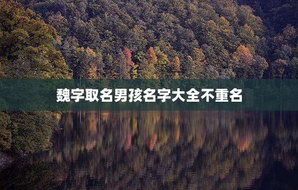 魏字取名男孩名字大全不重名