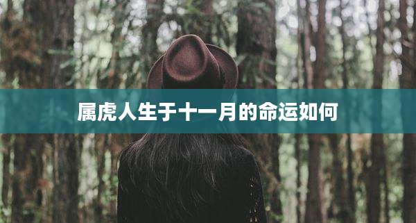 属虎人生于十一月的命运如何