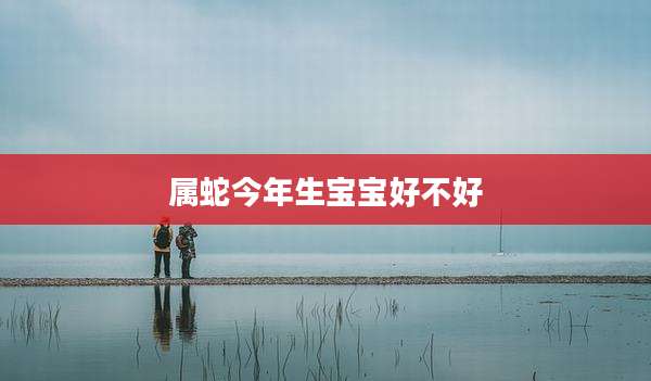 属蛇今年生宝宝好不好