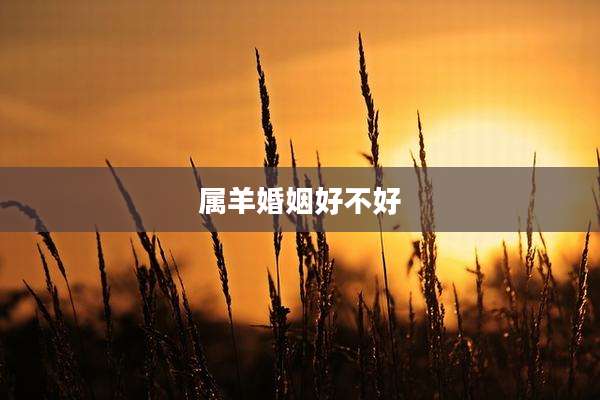 属羊婚姻好不好