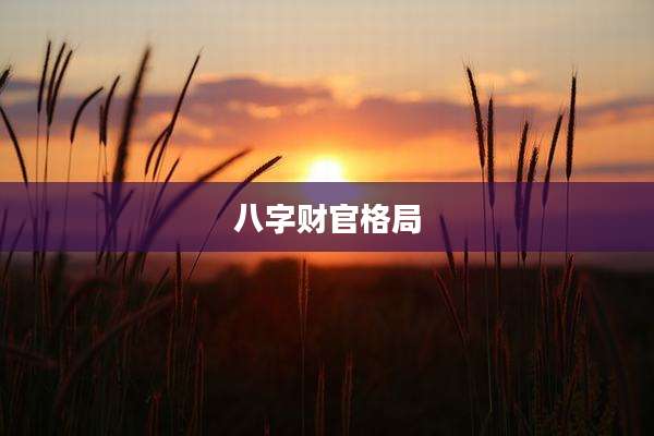 八字财官格局