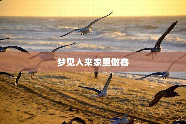 梦见人来家里做客