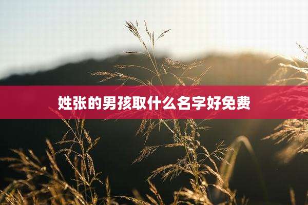 姓张的男孩取什么名字好免费