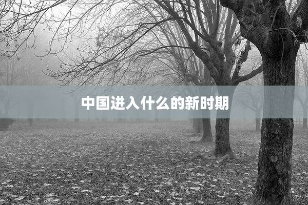 中国进入什么的新时期