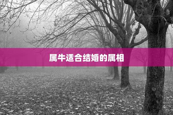 属牛适合结婚的属相