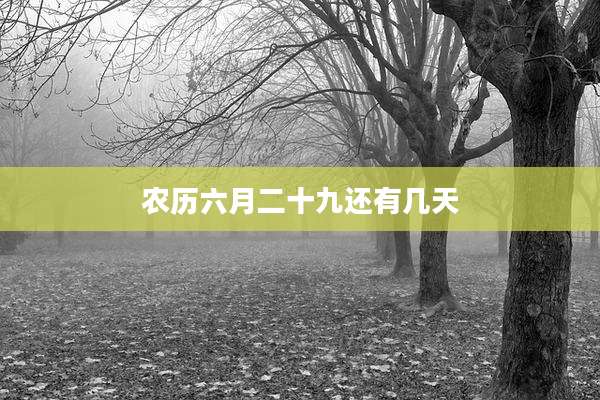 农历六月二十九还有几天