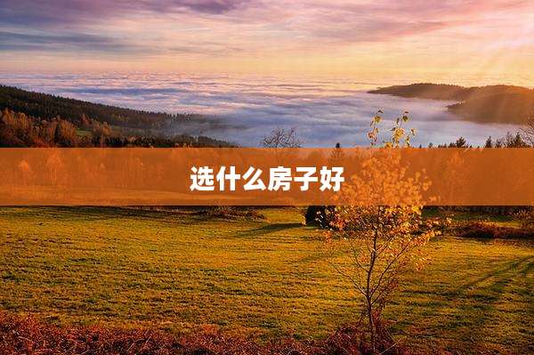 选什么房子好