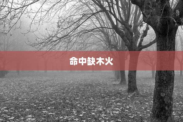 命中缺木火