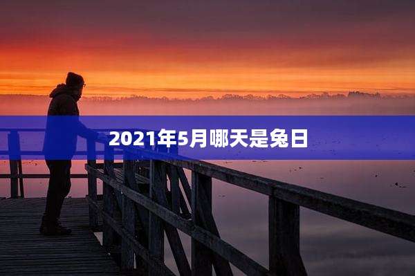 2021年5月哪天是兔日