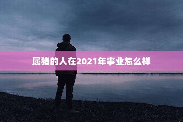 属猪的人在2021年事业怎么样