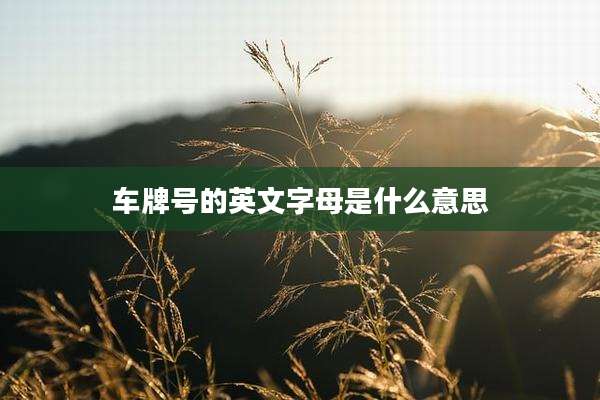 车牌号的英文字母是什么意思