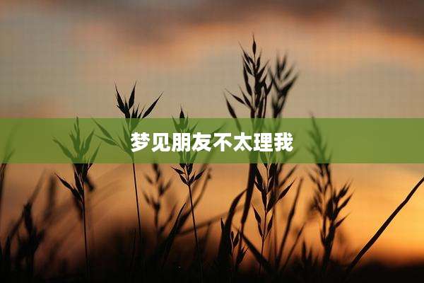 梦见朋友不太理我