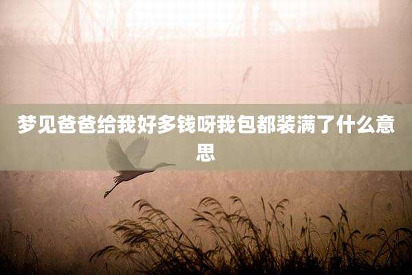 梦见爸爸给我好多钱呀我包都装满了什么意思