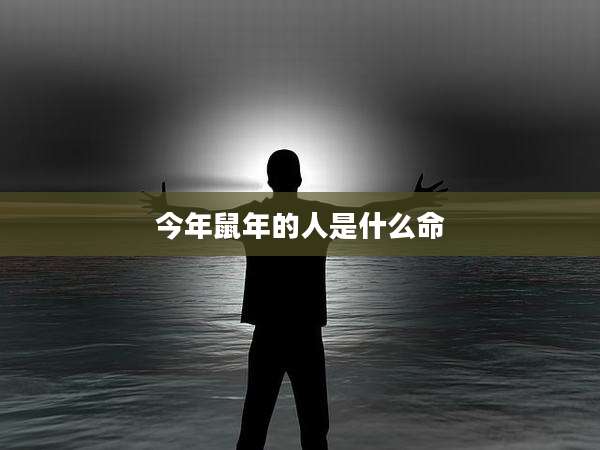 今年鼠年的人是什么命