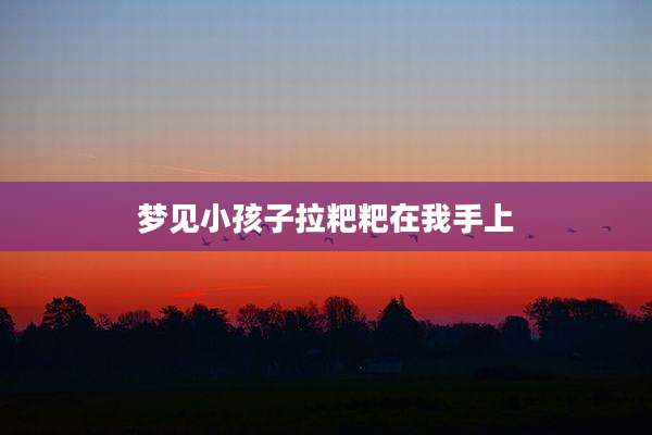 梦见小孩子拉粑粑在我手上