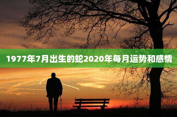 1977年7月出生的蛇2020年每月运势和感情