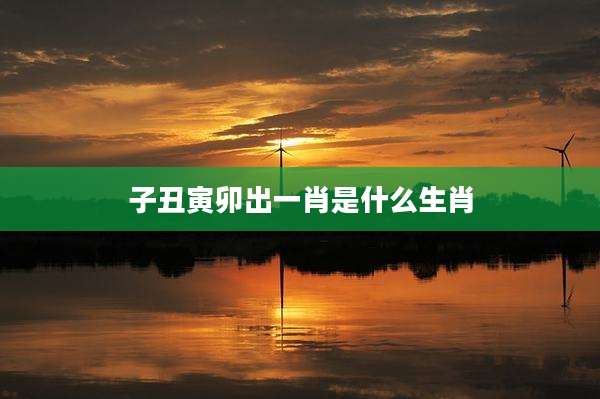 子丑寅卯出一肖是什么生肖