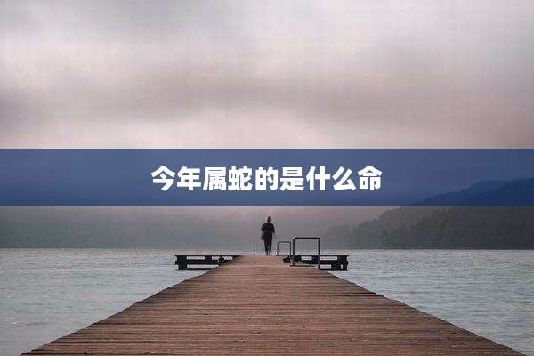 今年属蛇的是什么命