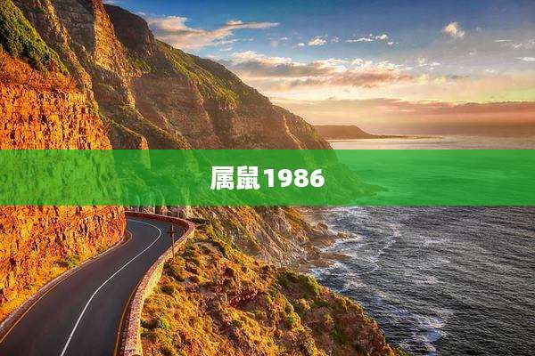 属鼠1986