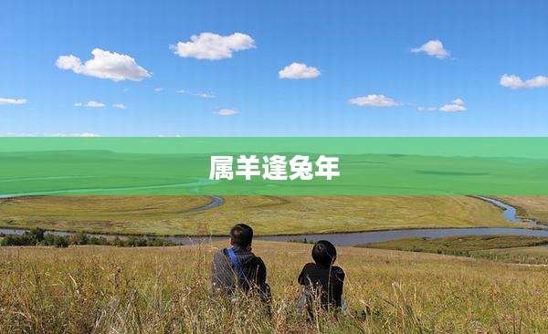 属羊逢兔年