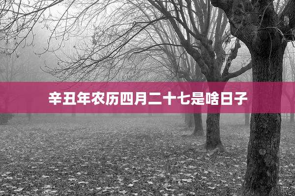 辛丑年农历四月二十七是啥日子