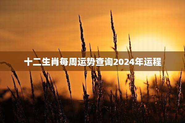 十二生肖每周运势查询2024年运程