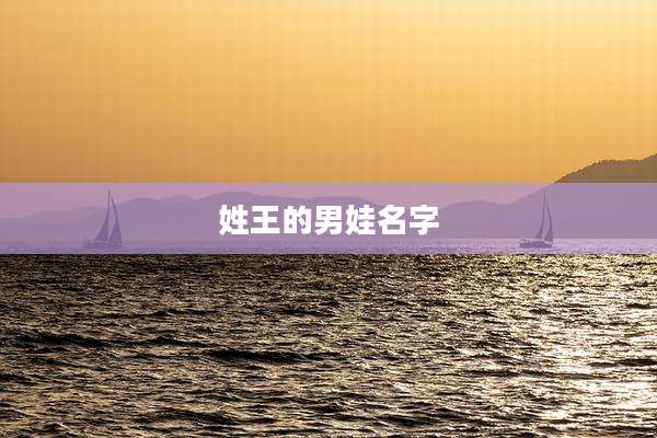 姓王的男娃名字