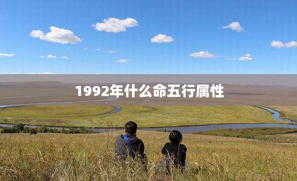 1992年什么命五行属性