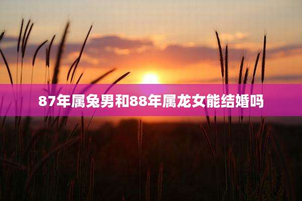 87年属兔男和88年属龙女能结婚吗