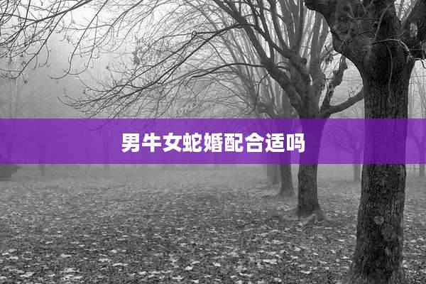 男牛女蛇婚配合适吗