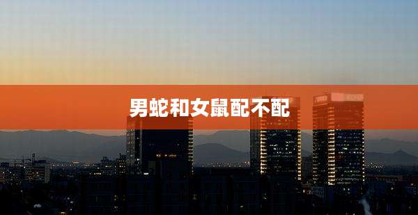 男蛇和女鼠配不配