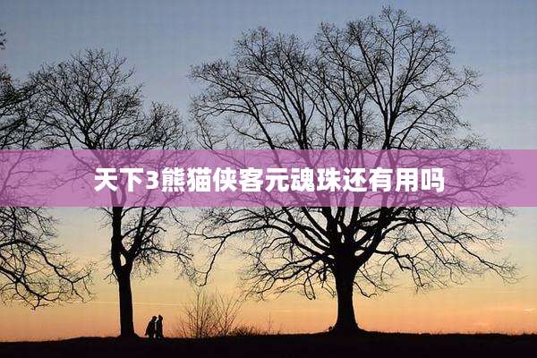 天下3熊猫侠客元魂珠还有用吗