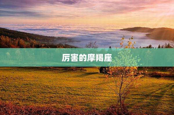 厉害的摩羯座