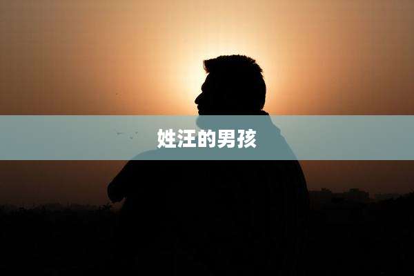 姓汪的男孩