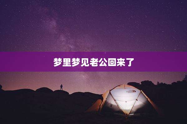 梦里梦见老公回来了