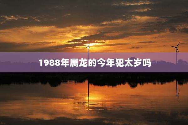 1988年属龙的今年犯太岁吗