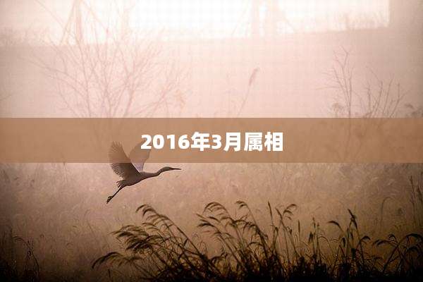 2016年3月属相