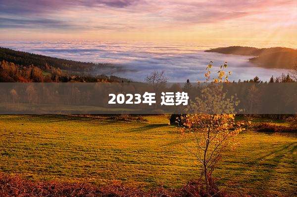 2023年 运势