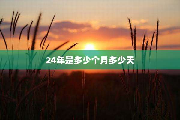 24年是多少个月多少天