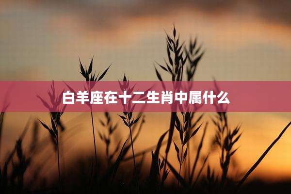 白羊座在十二生肖中属什么