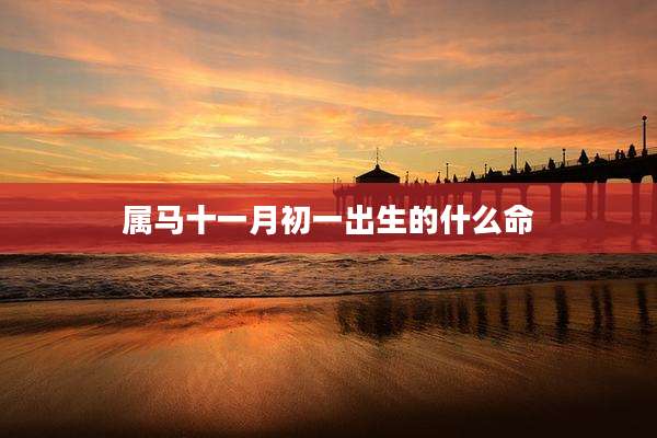 属马十一月初一出生的什么命
